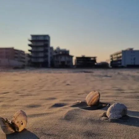 Sara Mamaia Nord Apartment