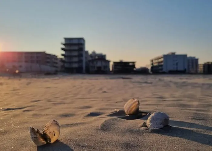 Sara Mamaia Nord Apartment